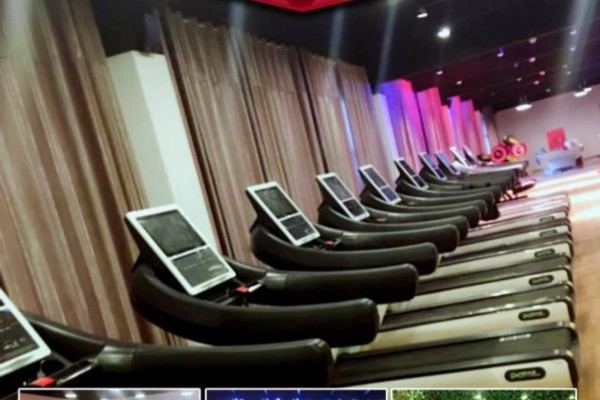 桑拿鱼成都体验，畅享养生优惠(桑拿鱼介绍)